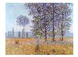 Sunlight Under The Poplars by Claude Monet Limited Edition Print