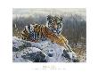 King Of The Hill by Matthew Hillier Limited Edition Pricing Art Print