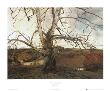 Pennsylvania Landscape, 1941 by Andrew Wyeth Limited Edition Print