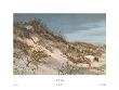 At The Beach by Carolyn Blish Limited Edition Print