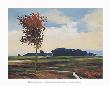 Midafternoon In Madison Valley by Kent Lovelace Limited Edition Print