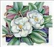 Magnolia Grandiflora by Paul Brent Limited Edition Pricing Art Print