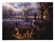 Parenthood, Canada Geese by Rudi Reichardt Limited Edition Print