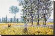 Field In Spring by Claude Monet Limited Edition Pricing Art Print