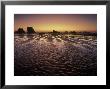 Bandon Beach And Sunset Afterglow, Bandon Beach State Park, Oregon, Usa by Adam Jones Limited Edition Print