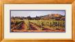 Northern Vineyards by June Carey Limited Edition Print