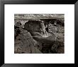 Close-Up Of Gnarled Tree Trunk by Ansel Adams Limited Edition Print