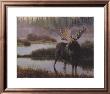Misty Morning Moose by Jan Martin Mcguire Limited Edition Print