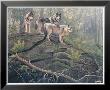Wolves by Clive Kay Limited Edition Print