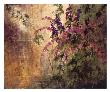 Botanical Secrets by Art Fronckowiak Limited Edition Pricing Art Print