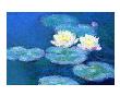 Waterlilies, Evening by Claude Monet Limited Edition Print