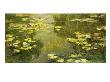 The Basin Of Water Lilies by Claude Monet Limited Edition Pricing Art Print