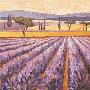 Le Paradis De La Lavander by Karsten Kirchner Limited Edition Print