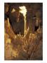 Stalactites And Stalagmites, Drapery Room, Mammoth Cave National Park, Kentucky, Usa by Adam Jones Limited Edition Print