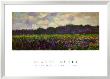 Champ D'iris Giverny, 1887 by Claude Monet Limited Edition Print