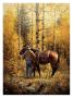 Sangre De Cristo Gold by Jack Sorenson Limited Edition Print