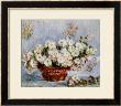 Chrysanthemums by Claude Monet Limited Edition Print