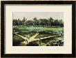 The American National Game Of Baseball by Currier & Ives Limited Edition Print