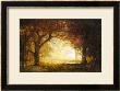 Forest Sunrise by Albert Bierstadt Limited Edition Print