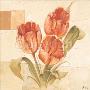 Bunch Of Tulips by Karsten Kirchner Limited Edition Pricing Art Print