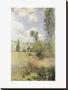 Path In Ile Saint Martin, Vetheuil by Claude Monet Limited Edition Print