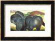 Little Blue Horses by Franz Marc Limited Edition Print