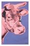 Cow, C.1976 (Pink And Purple) by Andy Warhol Limited Edition Print