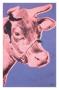 Cow, C.1976 (Pink And Purple) by Andy Warhol Limited Edition Print
