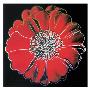 Flower For Tacoma Dome, C.1982 (Black And Red) by Andy Warhol Limited Edition Pricing Art Print