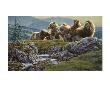 Above The Ridge by Kalon Baughan Limited Edition Pricing Art Print
