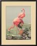 Flamingoes by Roger Tory Peterson Limited Edition Print