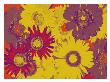Abstract Flowers I by Miguel Paredes Limited Edition Print