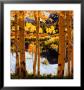 Mountain Pond by William Hook Limited Edition Pricing Art Print