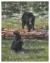 Three Bears by Carolyn Mock Limited Edition Pricing Art Print