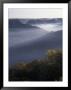 Morning Fog On Ridges Of Red River Gorge Geological Area, Great Smokey Mountains National Park, Tn Limited Edition Pricing
