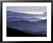 Appalachian Mountains At Dawn, Great Smoky Mountains National Park, Tennessee, Usa by Adam Jones Limited Edition Print