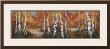 Autumn Birch Ii by Art Fronckowiak Limited Edition Pricing Art Print