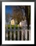 Distinctive Fence Of Shaker Village Of Pleasant Hill, Kentucky, Usa by Adam Jones Limited Edition Print