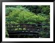 Footbridge In Japanese Garden, Portland, Oregon, Usa by Adam Jones Limited Edition Print