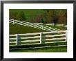 Fences Around Pastures, Shaker Village Of Plesant Hill, Kentucky, Usa by Adam Jones Limited Edition Pricing Art Print