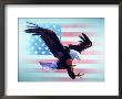 Eagle And Us Flag by Ken Graning Limited Edition Print