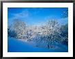 Record Snow In Louisville, Kentucky, Usa by Adam Jones Limited Edition Print