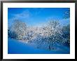 Record Snow In Louisville, Kentucky, Usa by Adam Jones Limited Edition Pricing Art Print