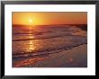 Kiawah Island, Sc by Robin Hill Limited Edition Print