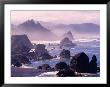 Morning Mist Along Oregon Coast Near Nesika, Oregon, Usa by Adam Jones Limited Edition Print