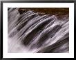 Flowing Water, Little Pigeon River, Great Smoky Mountains National Park, Tennessee, Usa by Adam Jones Limited Edition Print