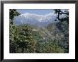 Gaddi Village, Dhaula Dhar Range, Western Himalayas, India, Asia by David Poole Limited Edition Print