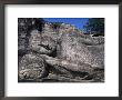 Reclining Buddha, Gal Vihara, Polonnaruwa, Unesco World Heritage Site, Sri Lanka by David Poole Limited Edition Print