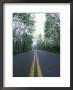 Forest Road In Spring, Daniel Boone National Forest, Kentucky, Usa by Adam Jones Limited Edition Pricing Art Print