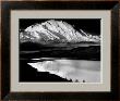 Mount Mckinley And Wonder Lake, Denali National Park, Alaska, 1947 by Ansel Adams Limited Edition Print